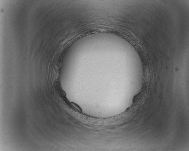 X0000087670043200705040736