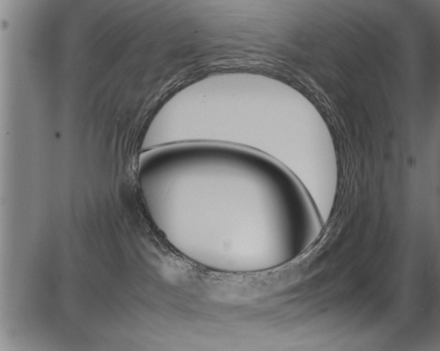 X0000087670045200705040736