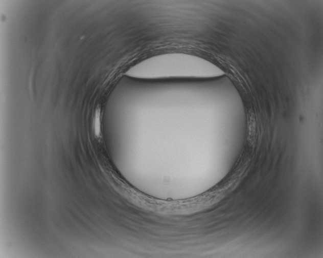 X0000087670046200705040736