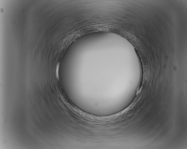 X0000087670047200705040736