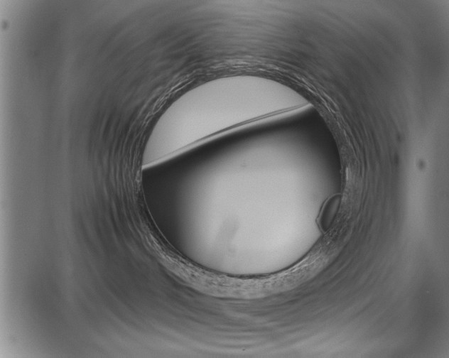 X0000087670048200705040736