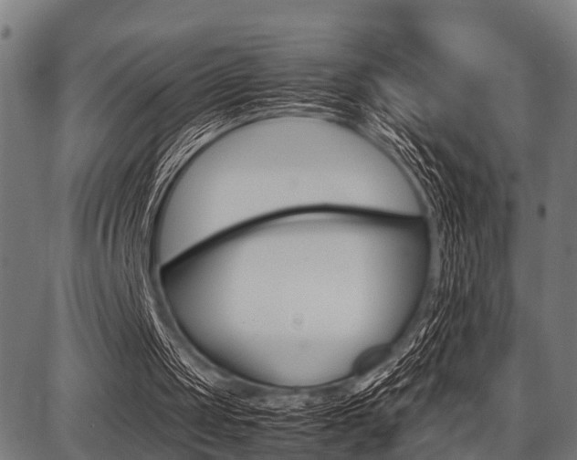 X0000087670049200705040735