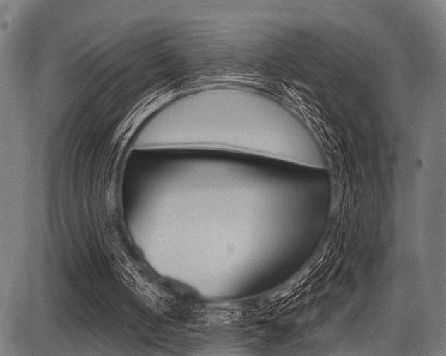 X0000087670050200705040735