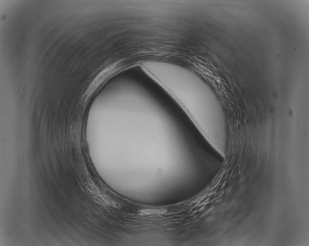 X0000087670051200705040735