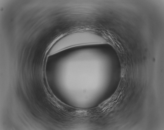 X0000087670052200705040735