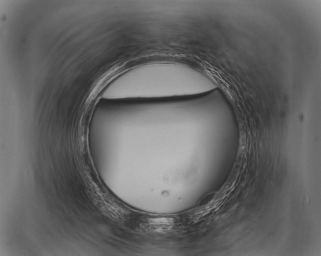 X0000087670053200705040735