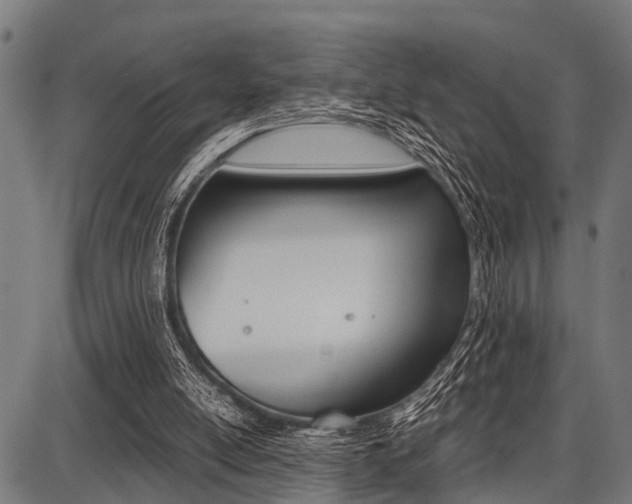 X0000087670054200705040735