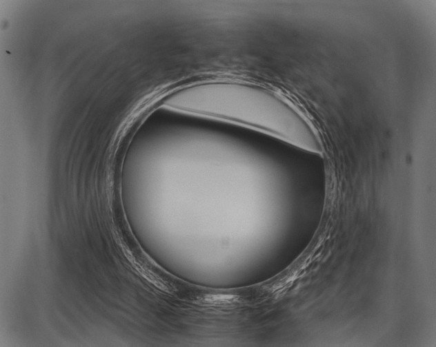 X0000087670055200705040735