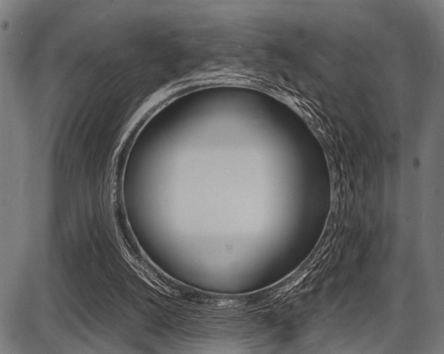 X0000087670056200705040736