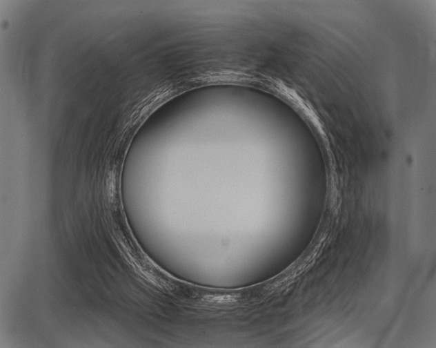 X0000087670057200705040736