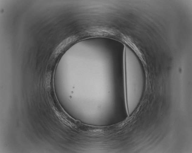 X0000087670058200705040736