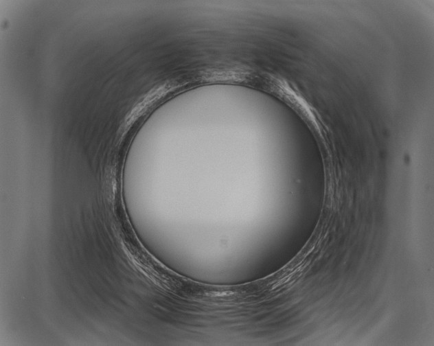 X0000087670059200705040736