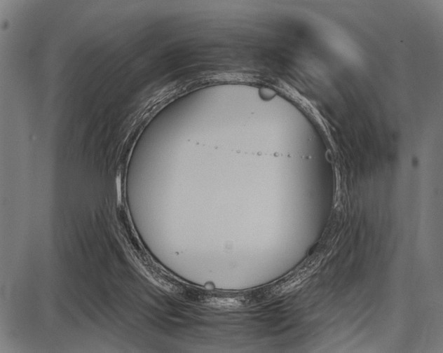 X0000087670061200705040736