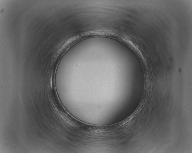 X0000087670062200705040736