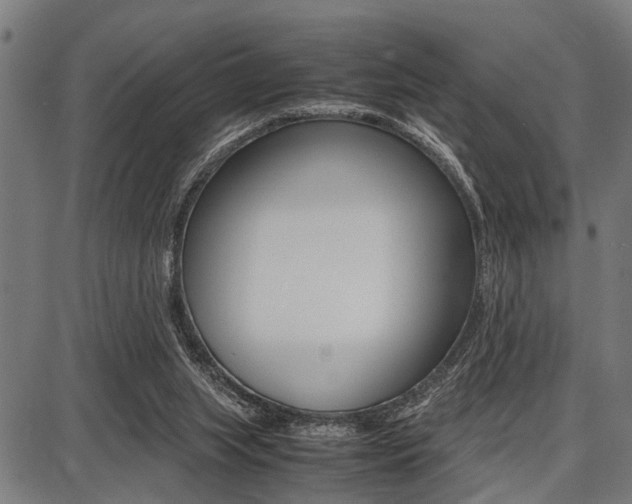 X0000087670063200705040736