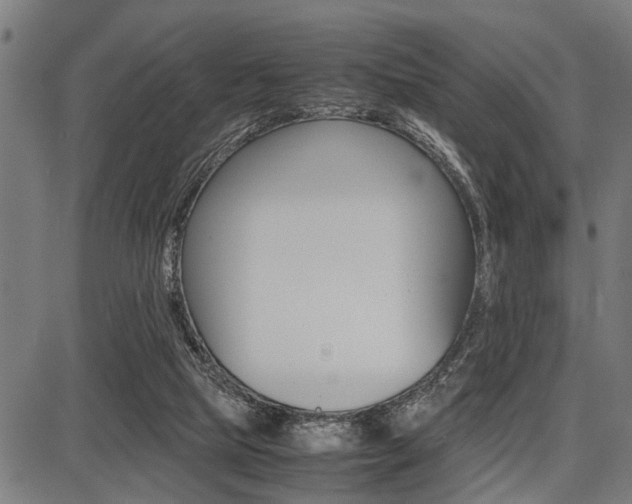 X0000087670065200705040736