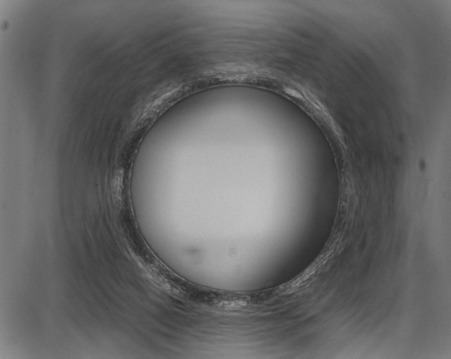 X0000087670066200705040736