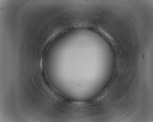 X0000087670067200705040736