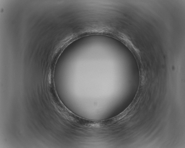 X0000087670068200705040736