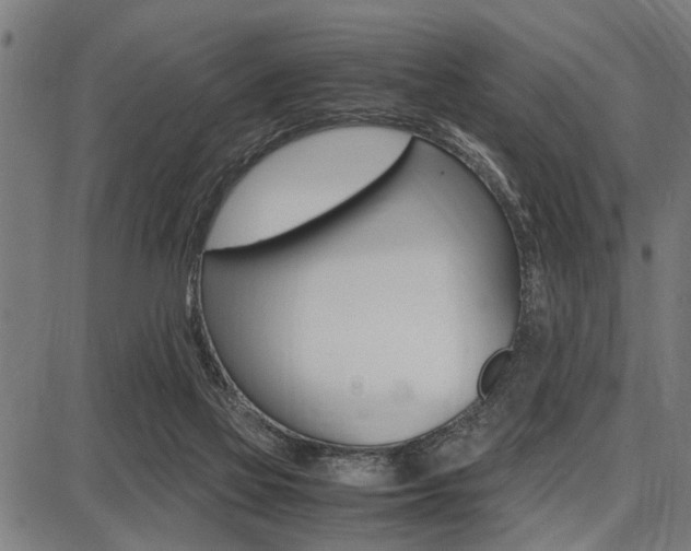 X0000087670069200705040736