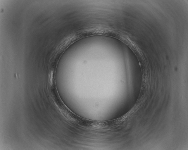 X0000087670070200705040736