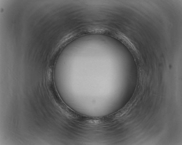 X0000087670071200705040736