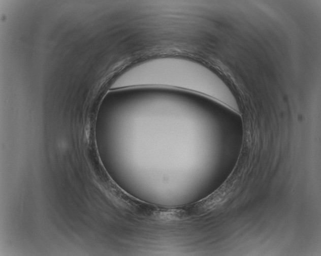 X0000087670072200705040736