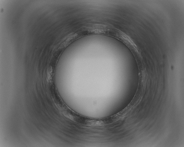 X0000087670073200705040736