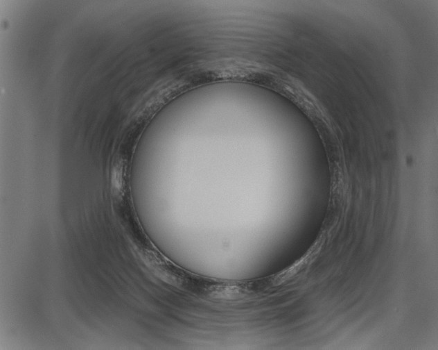 X0000087670074200705040736