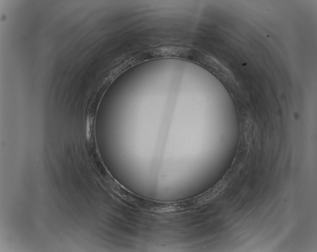 X0000087670075200705040736