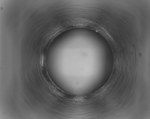 X0000087670076200705040736