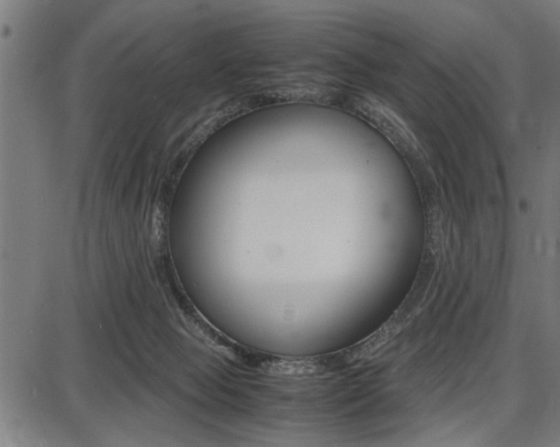 X0000087670077200705040736