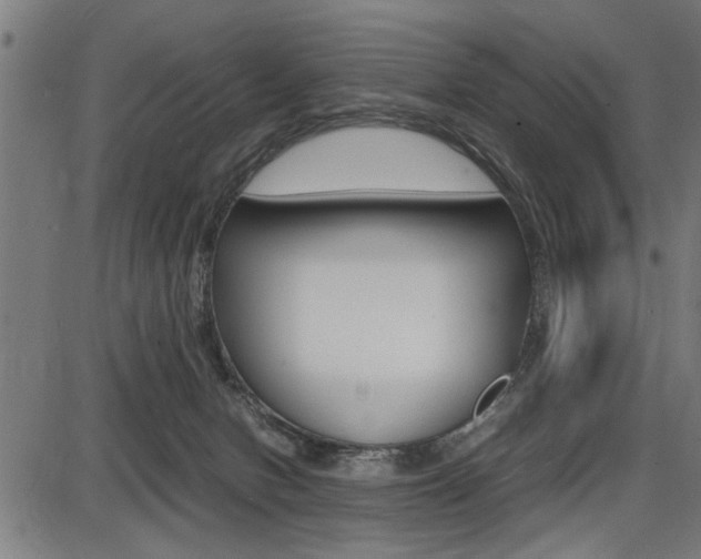 X0000087670078200705040736