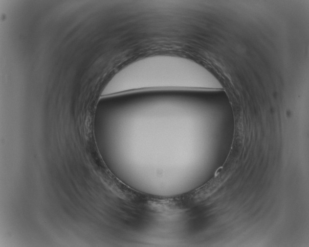 X0000087670079200705040736