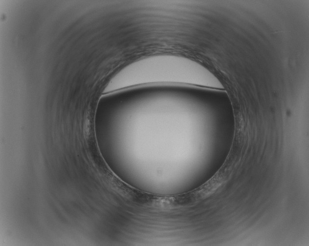 X0000087670080200705040736