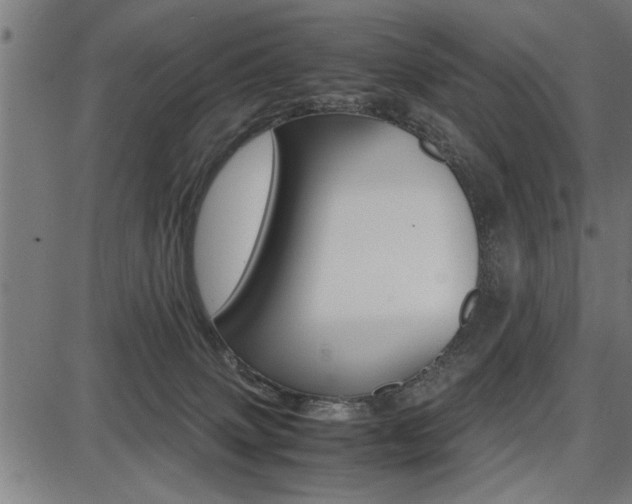 X0000087670083200705040736