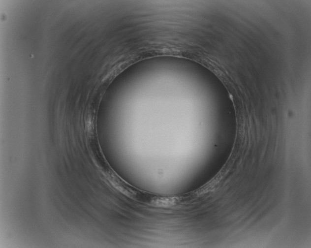 X0000087670084200705040736