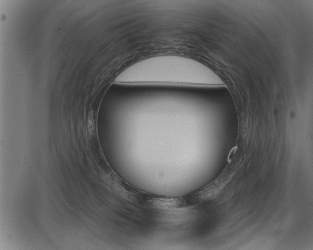 X0000087670085200705040736