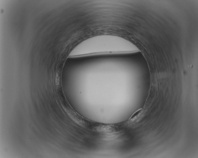 X0000087670086200705040736