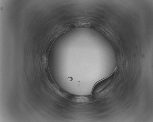 X0000087670087200705040736