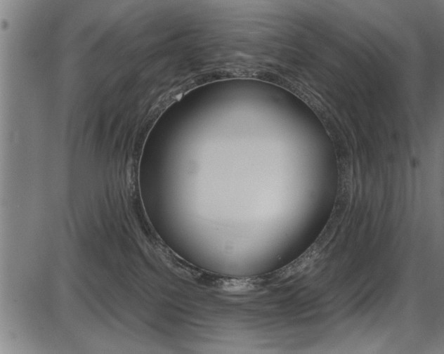 X0000087670088200705040736