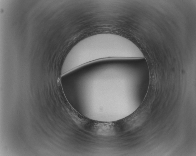 X0000087670089200705040736