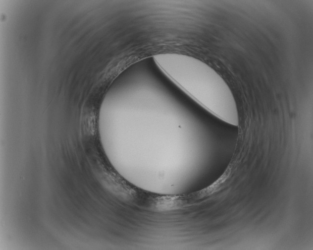 X0000087670090200705040736