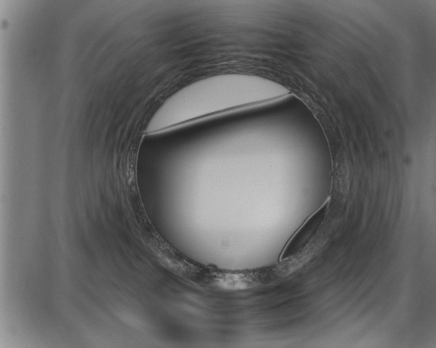 X0000087670091200705040736