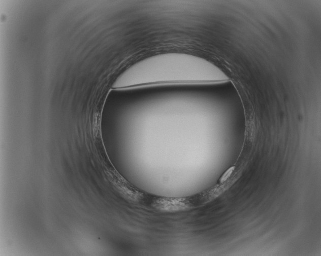 X0000087670093200705040736