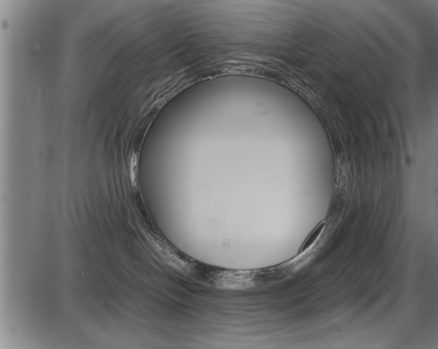 X0000087670094200705040736