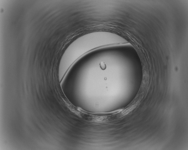 X0000087670096200705040736