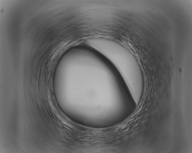 X0000087670097200705040735