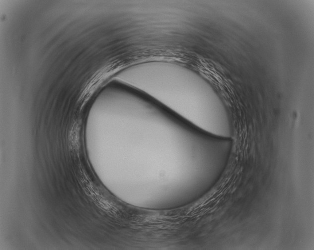 X0000087670098200705040735