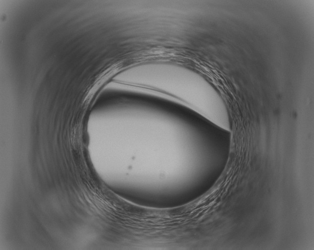 X0000087670099200705040735